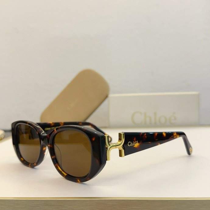 Picture of Chloe Sunglasses _SKUfw60701806fw